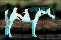 Horse Color:Thunderstruck Plaid  Liver Chestnut Appaloosa 