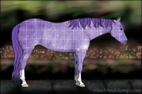 Horse Color:Watercolor Plaid  Liver Chestnut Rabicano 