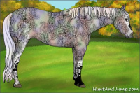 Horse Color:Gray Nacre White Spotted Brown Ice Onyx Sabino Rabicano 