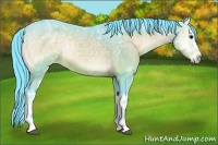 Horse Color:Watercolor White Spotted Bay Ice Onyx Rabicano 