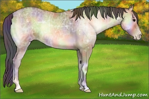 Horse Color:Nacre Sable Champagne Ice Onyx 
