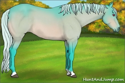 Horse Color:Watercolor Silver Bay Chinchilla 