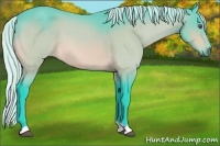Horse Color:Watercolor Silver Bay Chinchilla 