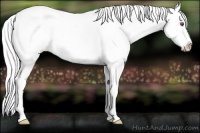 Horse Color:Watercolor Silver Brown Chinchilla Sabino Splash Appaloosa Rabicano 