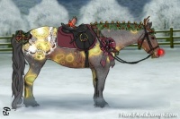 Horse Color:Brown Appaloosa 