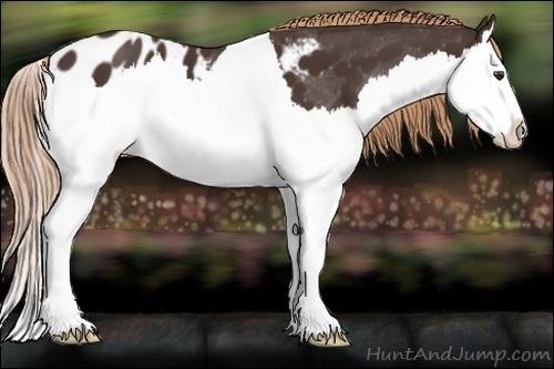 Horse Color:Liver Chestnut Sabino Splash Blanket 