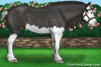 Horse Color:Liver Red Roan Splash 