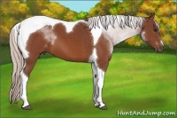 Horse Color:Chocolate Silver Bay Tobiano 