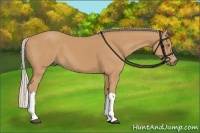 Horse Color:Silver Buckskin 