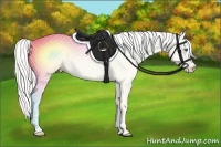 Horse Color:Silver Perlino Dun 