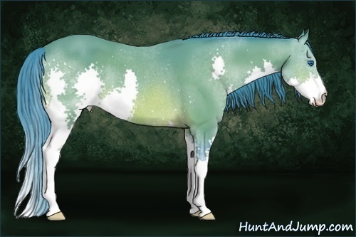 Horse Color:Watercolor Bay Splash Rabicano 