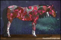 Horse Color:Bay Tobiano Rabicano