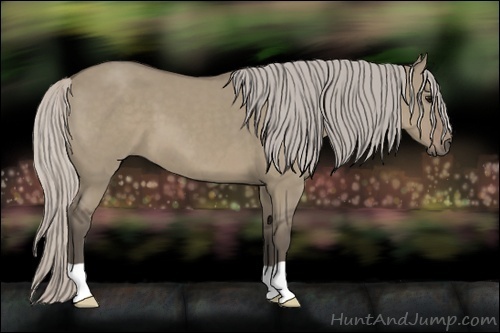 Horse Color:Silver Grullo 