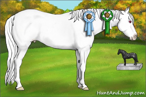 Horse Color:Bay Chinchilla Dun Sabino Tobiano Appaloosa Rabicano 