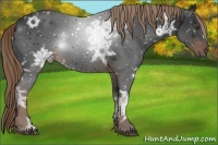 Horse Color:Liver Chestnut Ice 