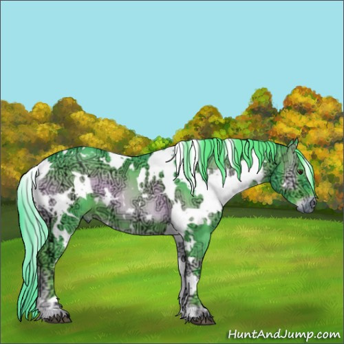 Horse Color:Watercolor White Spotted Red Onyx Ice