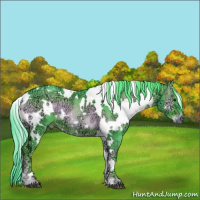 Horse Color:Watercolor White Spotted Red Onyx Ice