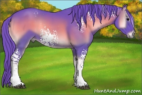 Horse Color:Watercolor White Spotted Blue Onyx 