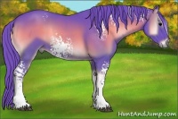 Horse Color:Watercolor White Spotted Blue Onyx