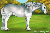Horse Color:Watercolor White Spotted Silver Blue Onyx Chinchilla Rabicano