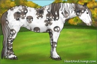 Horse Color:Plaid Black Sabino