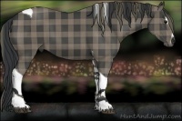 Horse Color:Plaid Black Sabino Tobiano