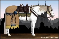 Horse Color:White Spotted Silver Grullo Rabicano