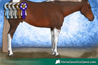 Horse Color:Liver Chestnut Tobiano