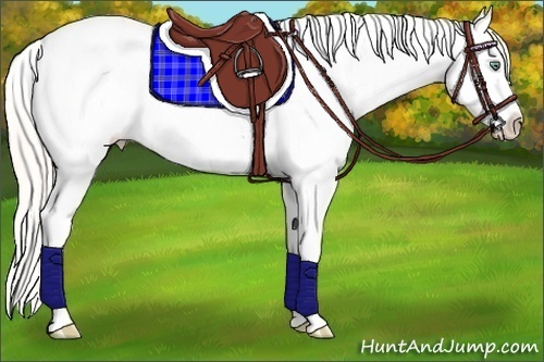 Horse Color:Silver Classic Cream Champagne Dun Sabino Tobiano Frame Varnish 