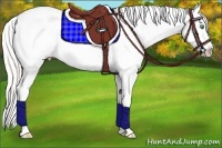 Horse Color:Silver Classic Cream Champagne Dun Sabino Tobiano Frame Varnish 