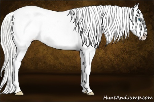 Horse Color:Silver Smoky Creme Appaloosa