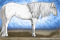 Horse Color:Chocolate Palomino Ice Snowflake Varnish