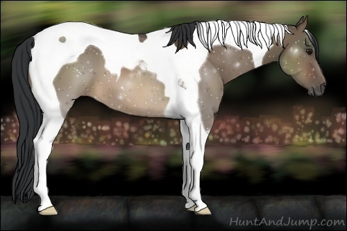 Horse Color:Brown Dun Tobiano 