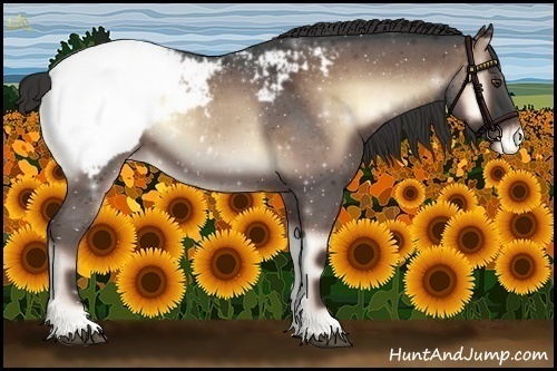 Horse Color:Liver Red Onyx Roan Appaloosa