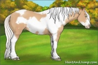 Horse Color:Silver Amber Champagne Tobiano Frame