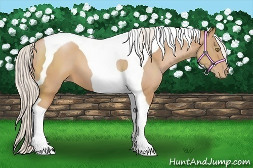 Horse Color:Silver Bay Pearl Tobiano 