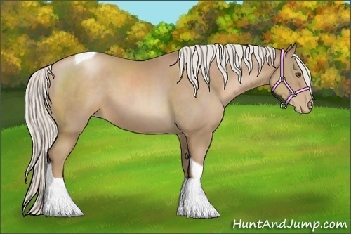 Horse Color:Silver Black Pearl Tobiano