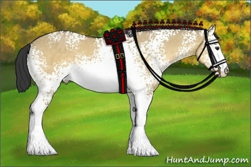 Horse Color:White Spotted Buckskin Dun 