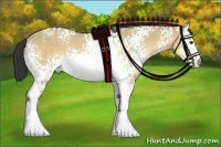 Horse Color:White Spotted Buckskin Dun 