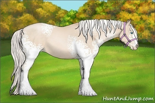 Horse Color:White Spotted Silver Smoky Black Pearl 