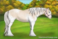 Horse Color:White Spotted Silver Smoky Black Pearl