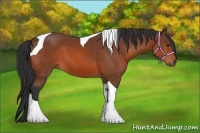 Horse Color:Bay Tobiano 