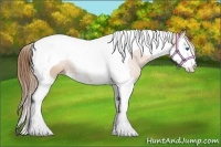 Horse Color:Bay Pearl Sabino Splash Tobiano