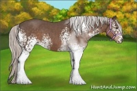 Horse Color:White Spotted Silver Black Sabino