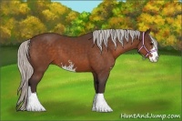 Horse Color:Silver Bay Sabino