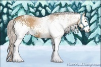 Horse Color:White Spotted Silver Bay Dun Sabino