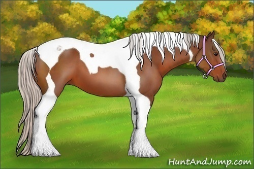 Horse Color:Silver Bay Tobiano