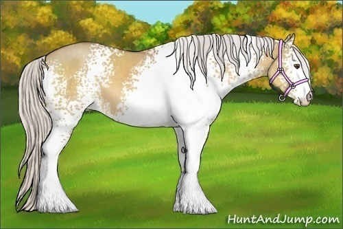 Horse Color:White Spotted Silver Buckskin Dun 
