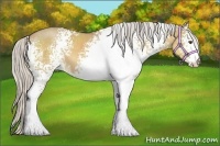 Horse Color:White Spotted Silver Buckskin Dun