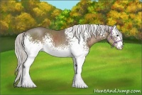 Horse Color:White Spotted Silver Smoky Black Sabino 